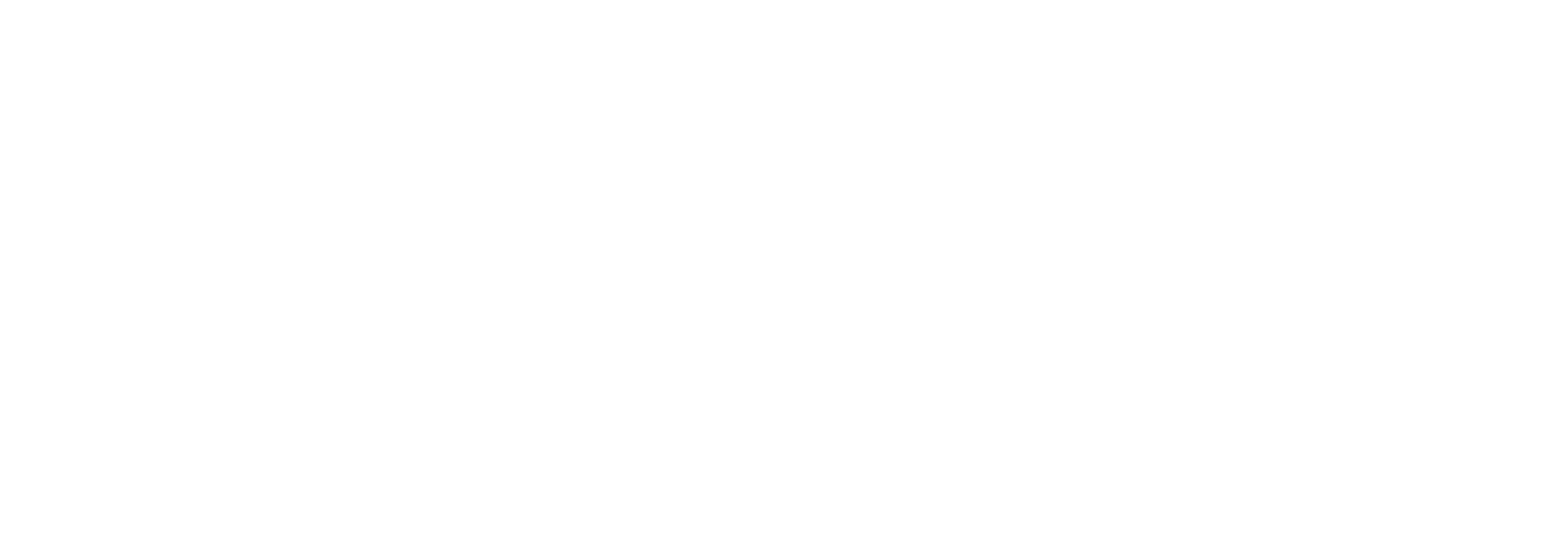 Arachne Audio Logo Horizontal White ver