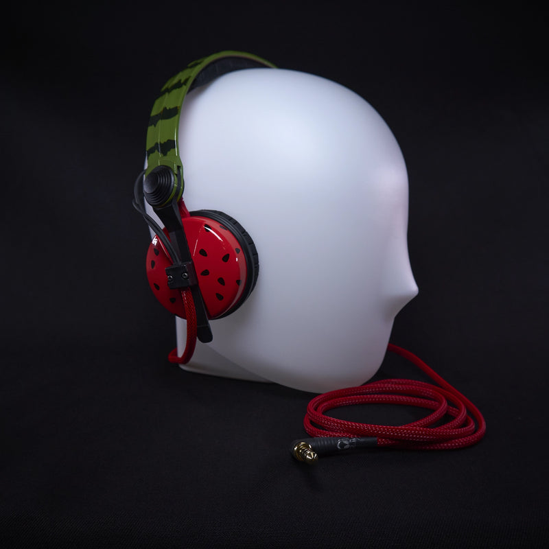 Custom Sennheiser HD25 headphones with unique watermelon-themed hand-painted design, red earcups, green headband, and red audio cable.